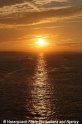 Sonnenuntergang-Schelde SH-040912-03.jpg
